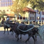 Forth Worth Stockyards