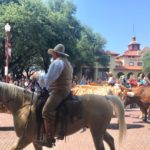 Stockyards Cattle Drive