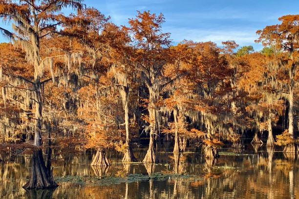 Caddo Lake State Park weekend trips Dallas East Texas