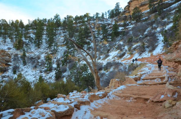 Bright Angel Trail Grand Canyon Trip