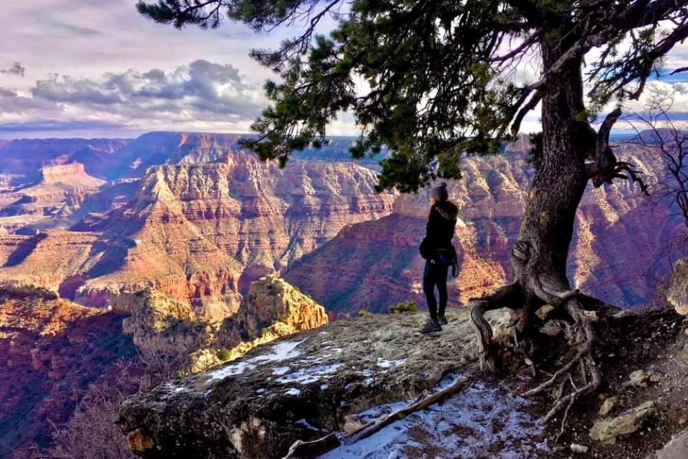 Road Trip Dallas Grand Canyon 1