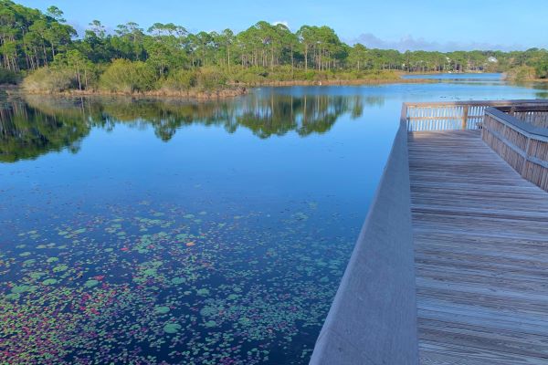 Florida 30a Stinky Fish Camp Dune Allen