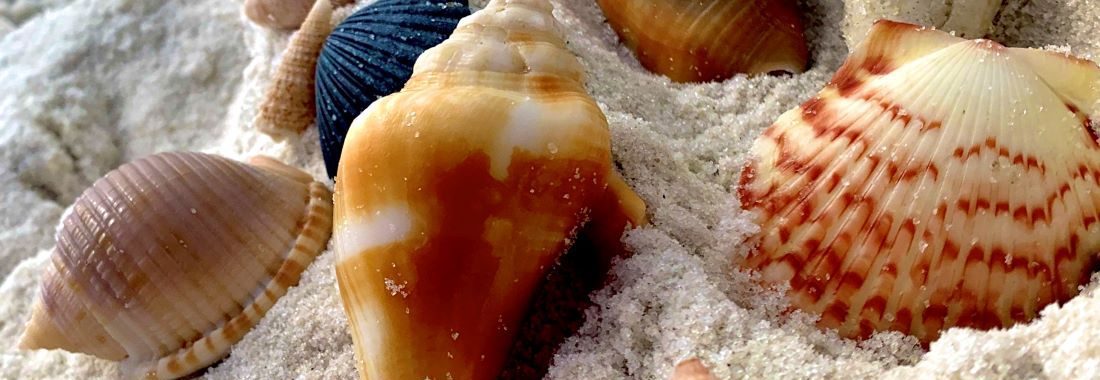 Road Trip Texas Florida Emerald Coast Panama Beach