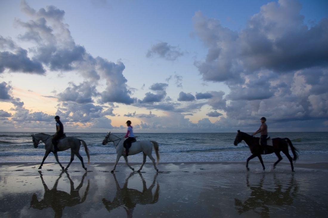 Horseback Riding South Padre Island Texas