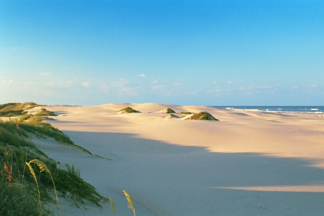 South Padre Island Dunes, Texas Coast