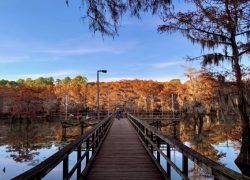 Caddo Lake State Park weekend trips from Dallas