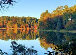 Daingerfield State Park Weekend Trip Dallas North Texas