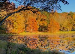 Daingerfield State Park Weekend Trip Dallas North Texas