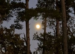 Daingerfield State Park Weekend Trip Dallas North Texas