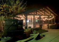 Enoch's Stomp Vineyard and Winery Noth Texas Wine Trails Trips from Dallas