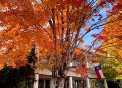 Jefferson Texas weekend trips from Dallas