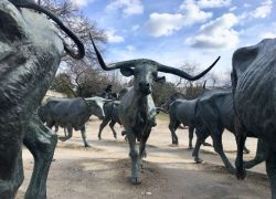 Pioneer Plaza at Downtown Dallas